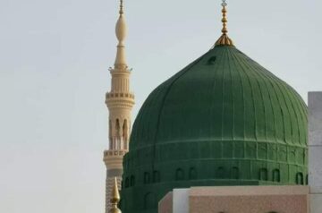 AL MUSTAFA TRAVEL & TOURS